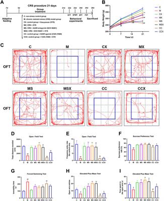 Xiaoyaosan Ameliorates Chronic Restraint Stress-Induced Depression-Like Phenotype by Suppressing A2AR Signaling in the Rat Striatum